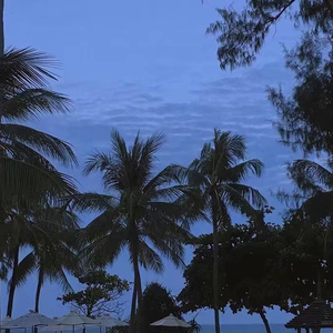 黄页网站大全在线观看
