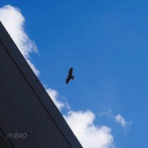 黄页网站大全在线观看
